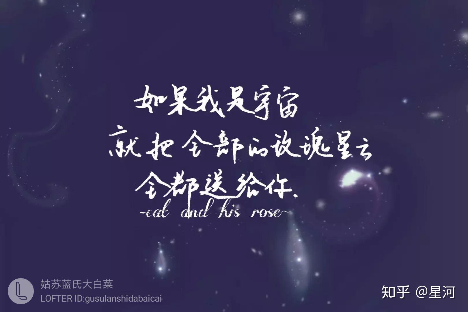 如何评价一十四洲的作品猫咪的玫瑰?