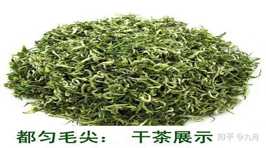 如何买到正宗的都匀毛尖 v2-8ee6e487924a262c18a1b501fcfded18_r.jpg