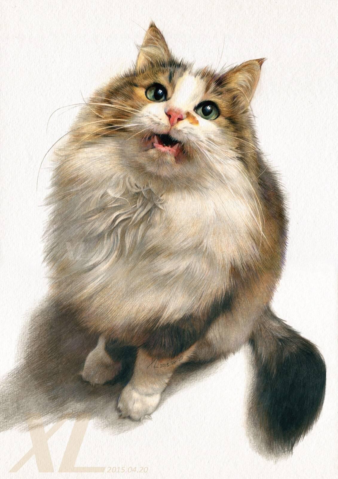 介绍几个写实派的彩铅大师? - 知乎