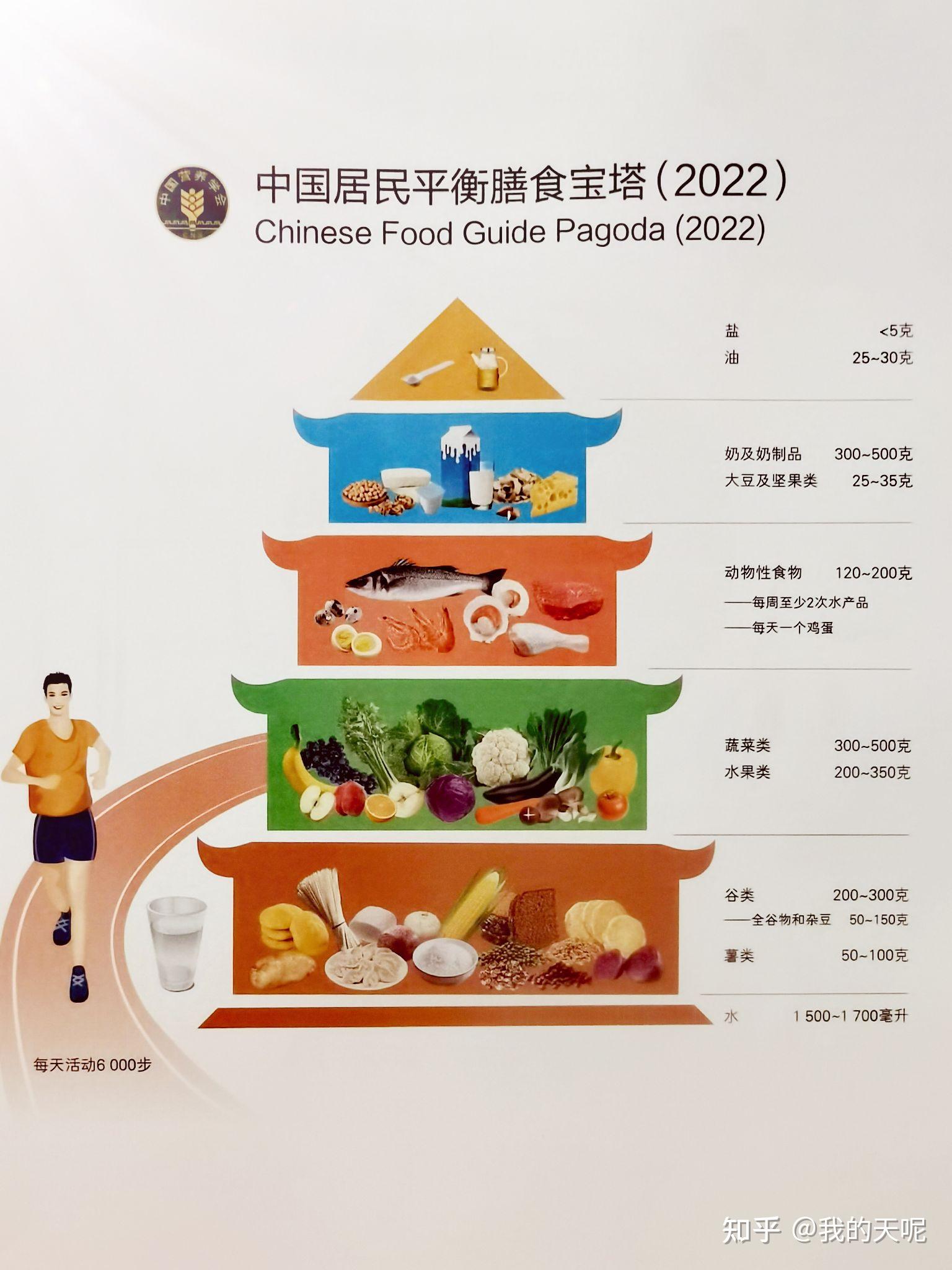 2021膳食宝塔模型图片