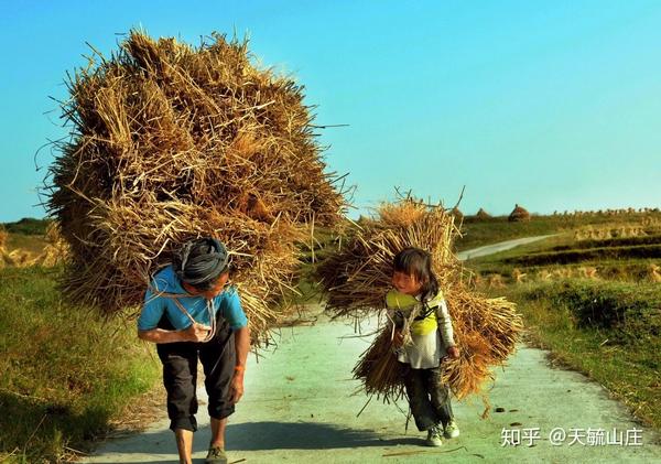 我的家乡在大山深处,一处穷乡僻壤的地方.