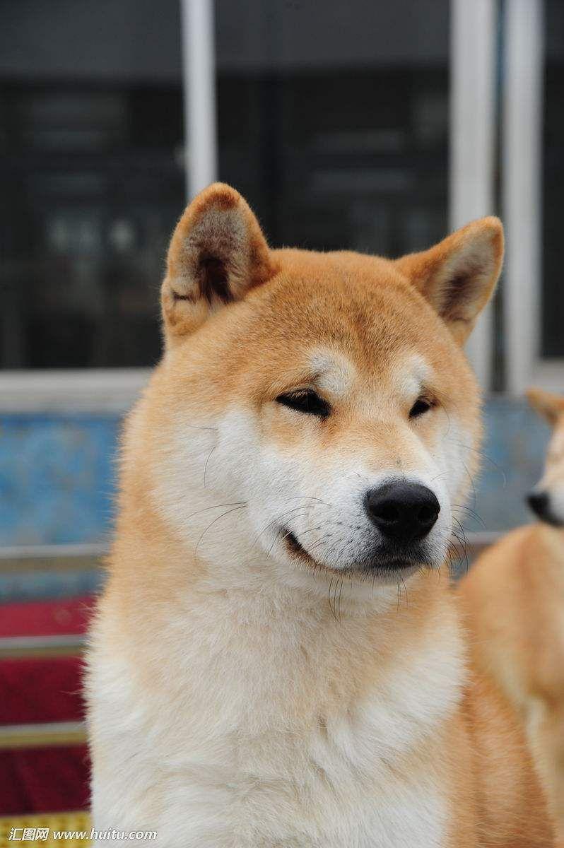 MBTI类型会影响人的长相和气质面貌吗?