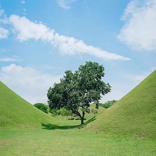 有没有什么惊艳的微信头像?-特别惊艳到人的微信头像