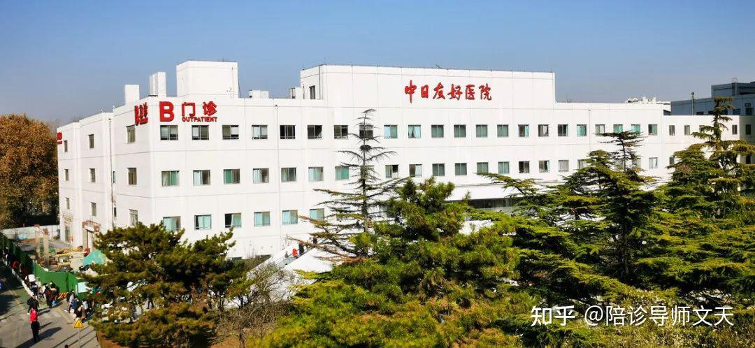 中日友好医院门诊陪诊挂号服务-外地来京不迷路的简单介绍