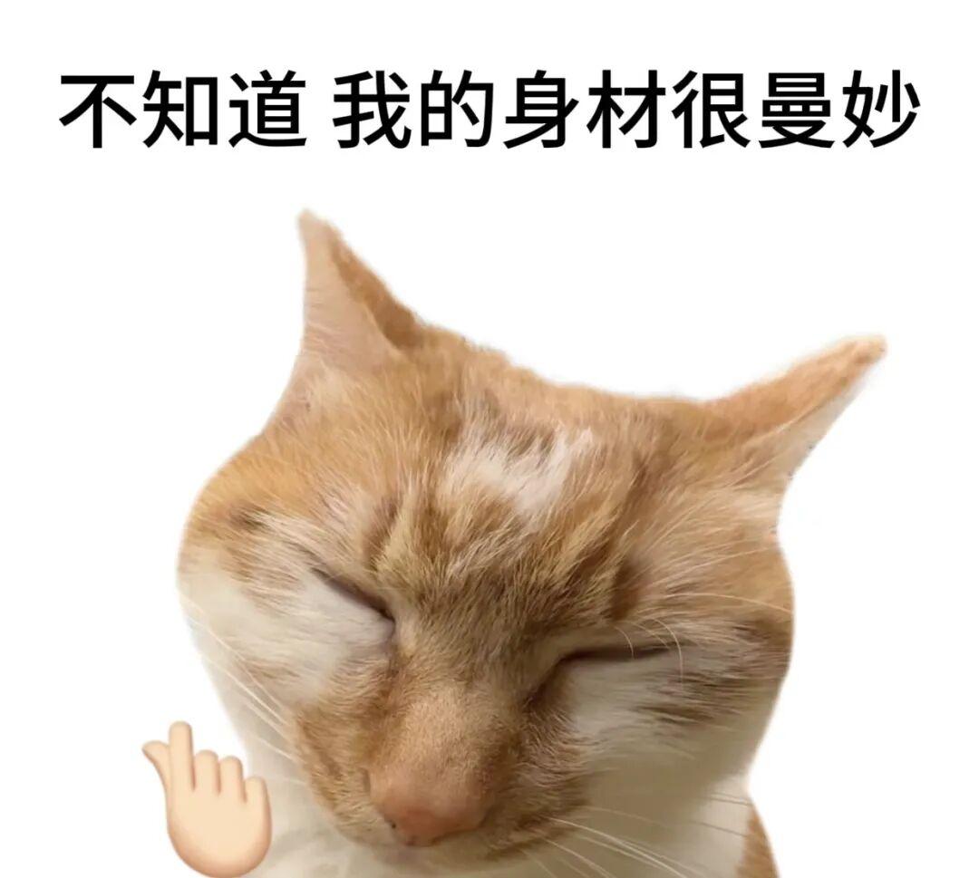 “我的身材很曼妙是什么梗?” - 知乎