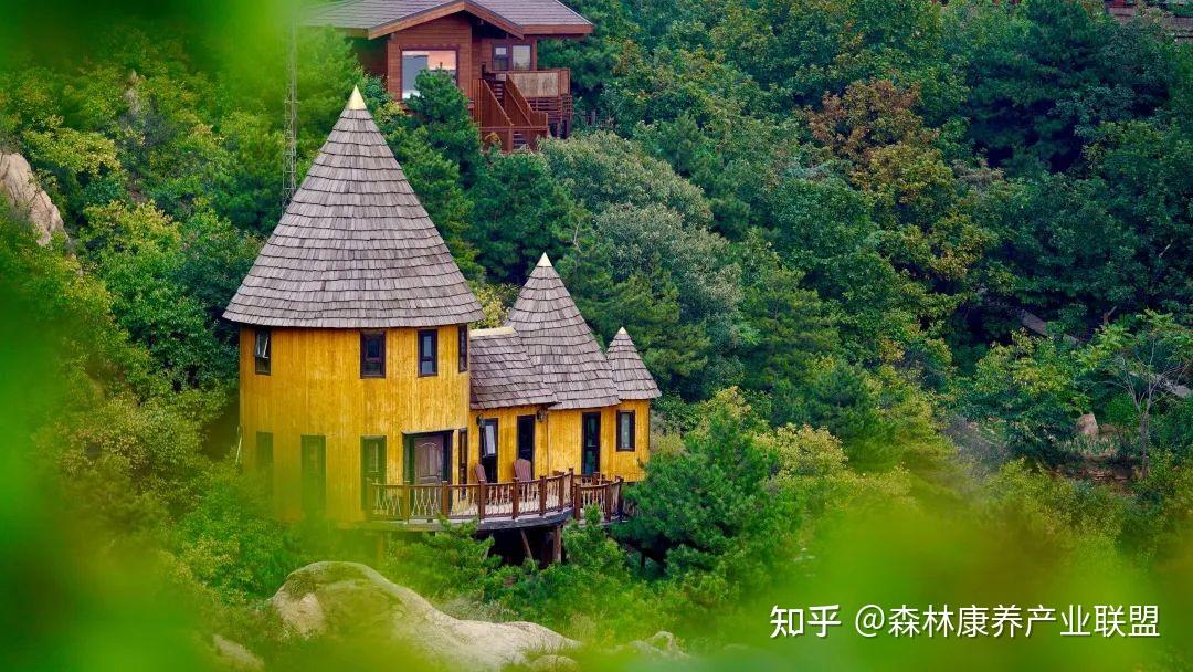 常务理事单位丨北京市密云区云峰山森林康养基地