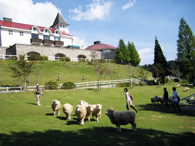 日本之旅亲子游神户六甲山高山牧场