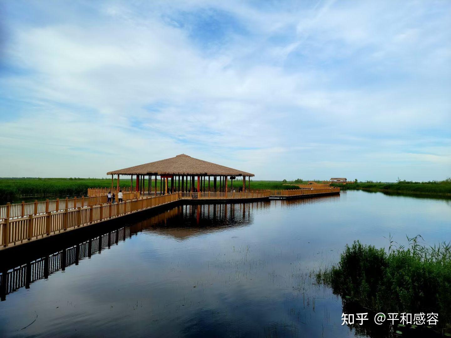 雄安白洋淀唐河入淀口湿地生态保护-正和生态-生态环境科技运营商