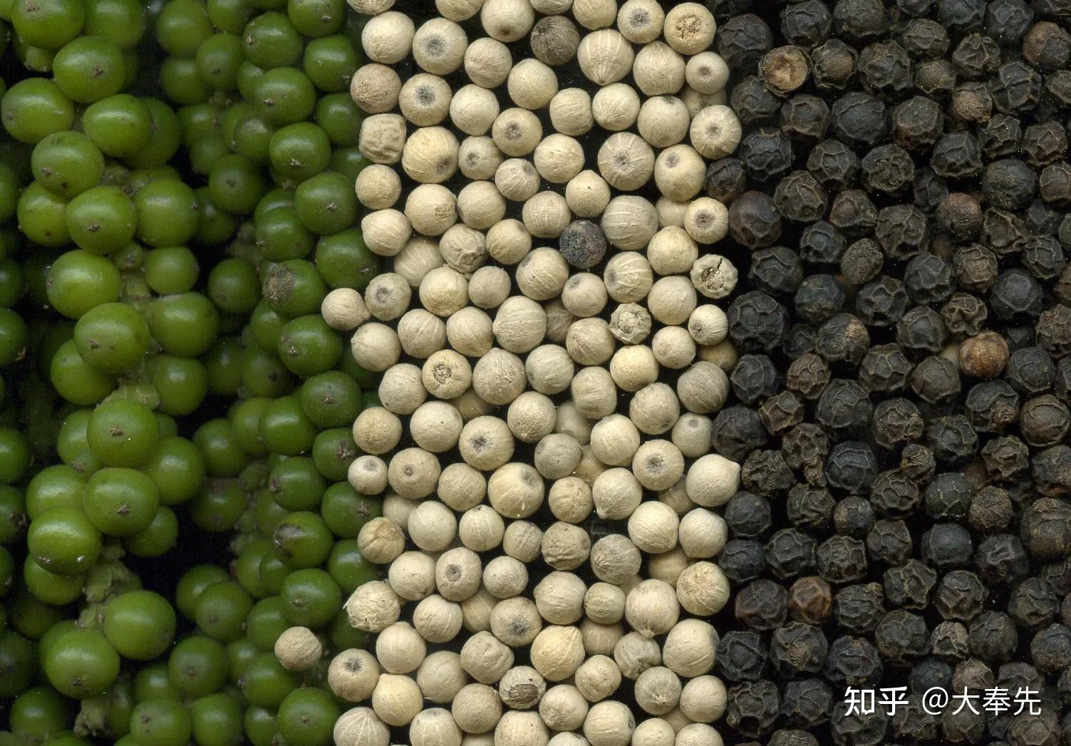 胡椒/花椒/海盐研磨器,塑料/玻璃/不锈钢/木质什么材质更好?