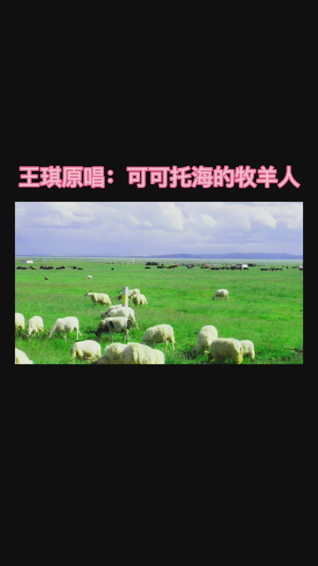 《可可托海的牧羊人》歌曲教学