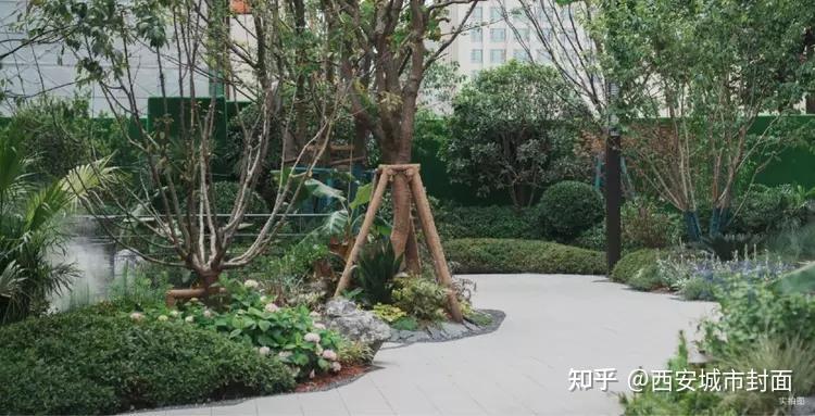 百贤聚首|2023西安媒体【朗诗·百贤庭】共鉴之旅圆满收官 - 知乎