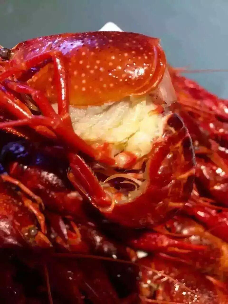 请问白腮虾怎么挑选,自己创业做麻辣小龙虾,腮总是黑黑的,请问该如何