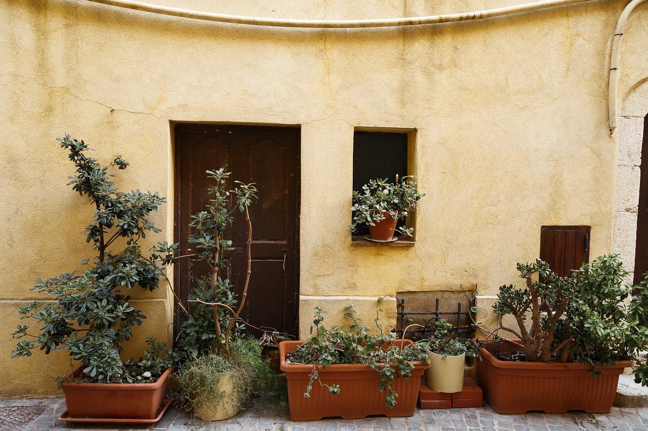 绿化景观特色解析