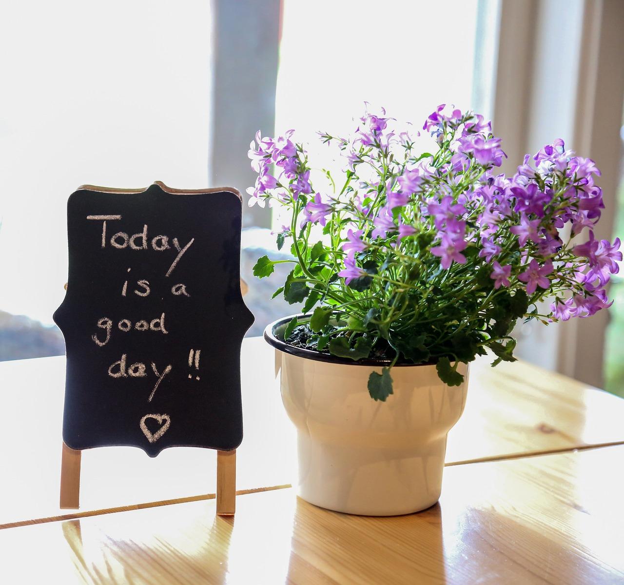家居花卉风水解析