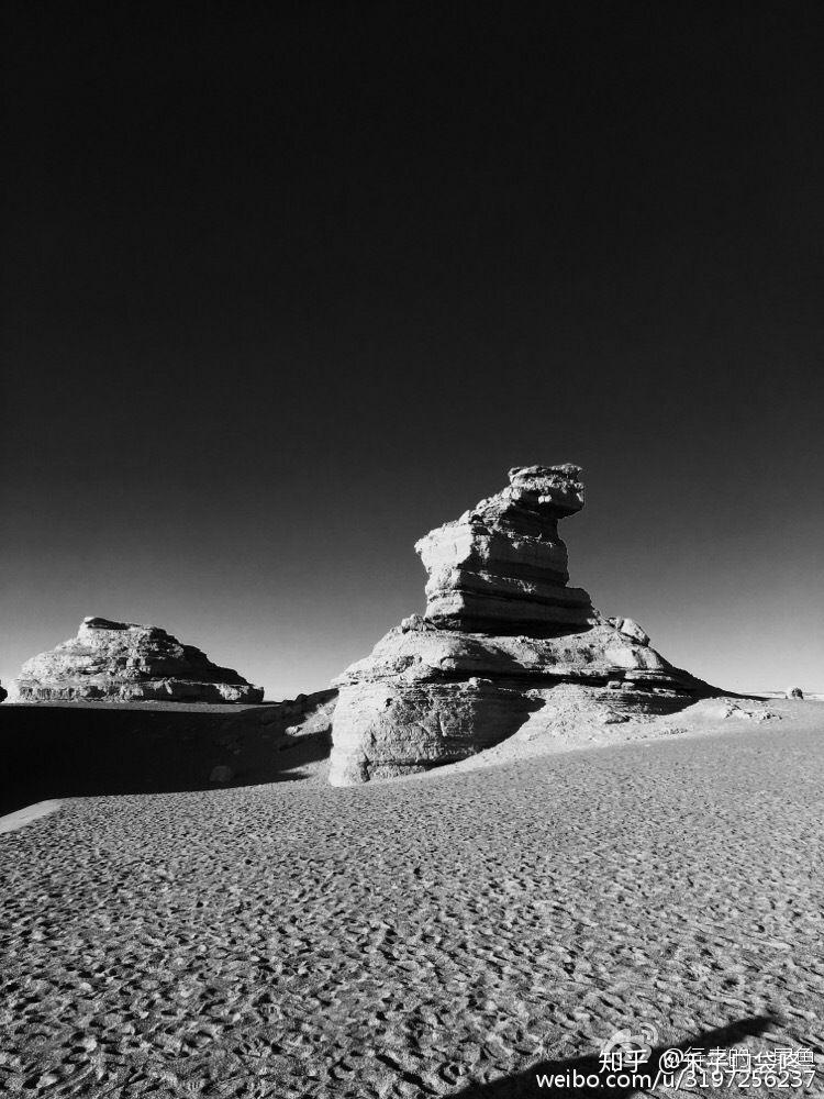 如何评价尾鱼的小说?