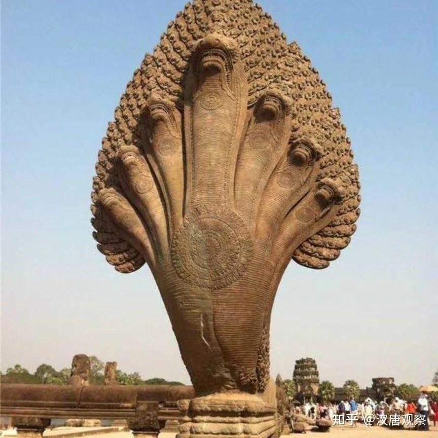 印度龙,日本龙,凯尔特红龙,西方毒龙,他们和中国龙有何不同?