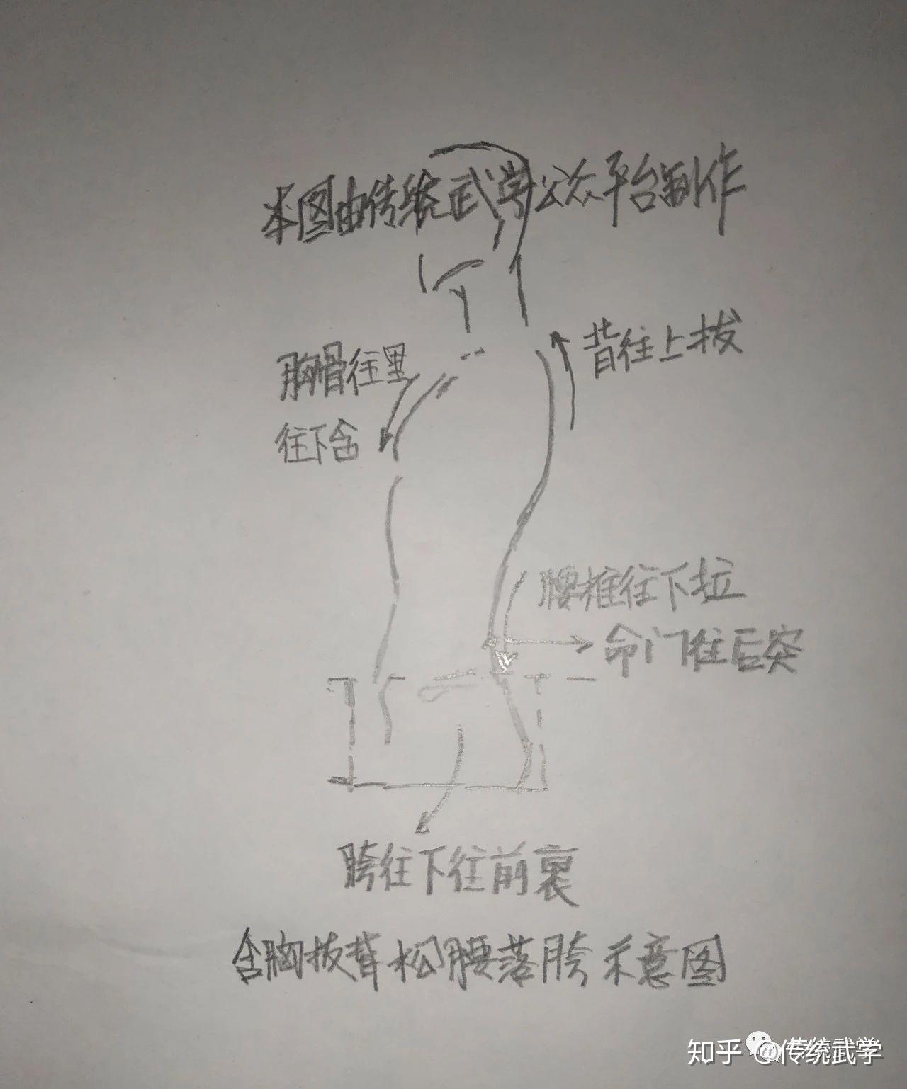 解密含胸拔背松腰落胯