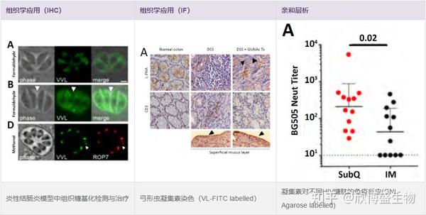 凝集素&糖生物学试剂 - 知乎