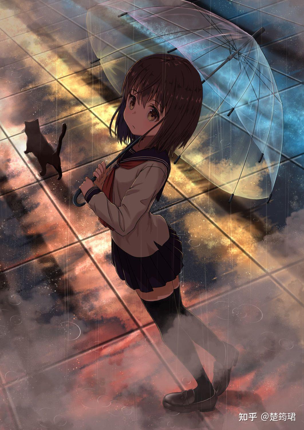 如何评价black枪骑兵挂专业回答的行为