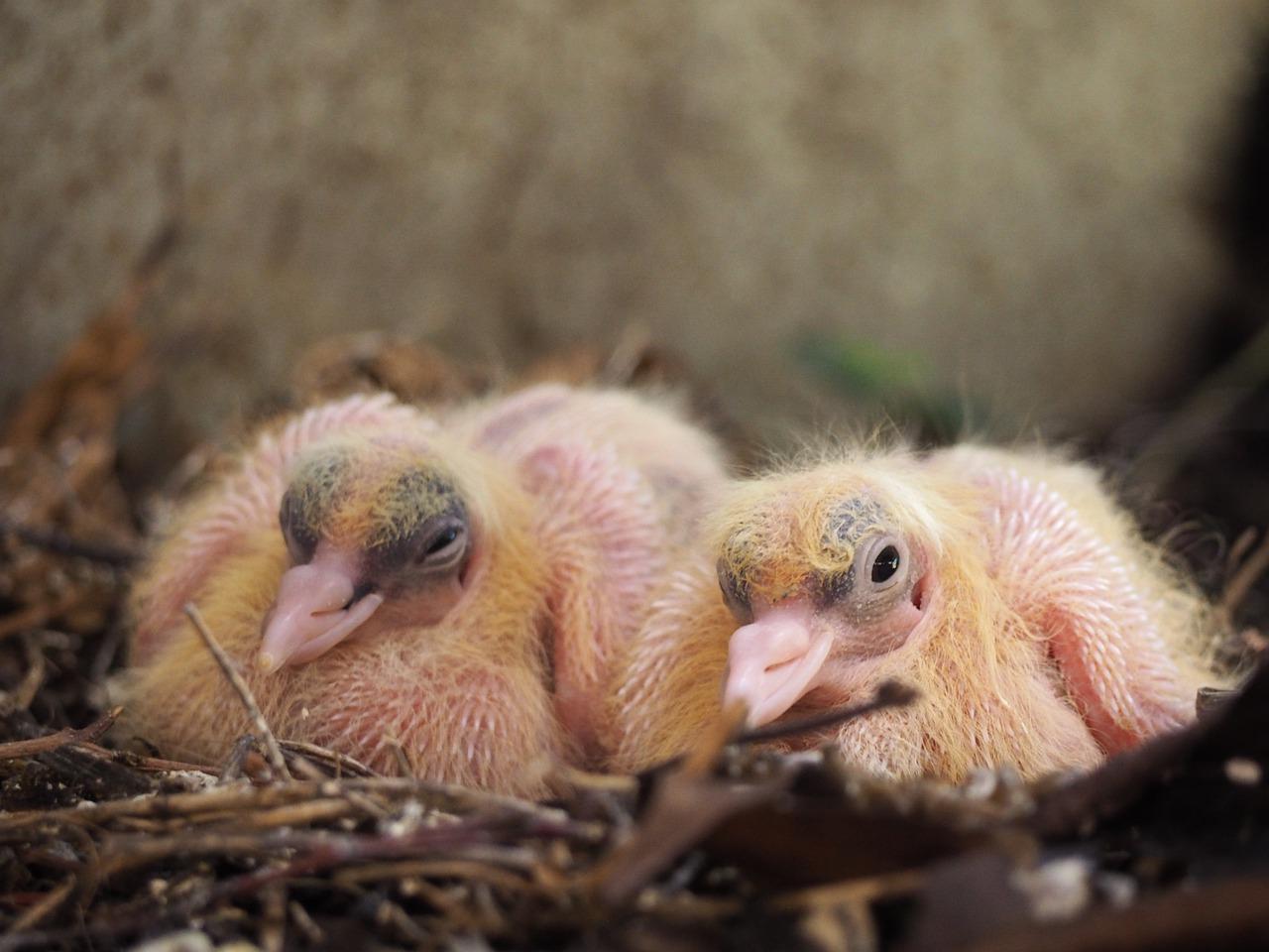 4. 周边环境介绍