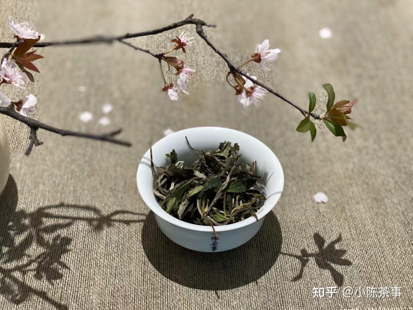 最贵的白茶价格 v2-8f7ddf6f0088ed2cd6d7f5d40caa2e64_r.jpg