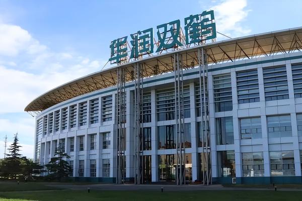 华润双鹤——国产“救命药”龙头,还有多少空间? - 知乎