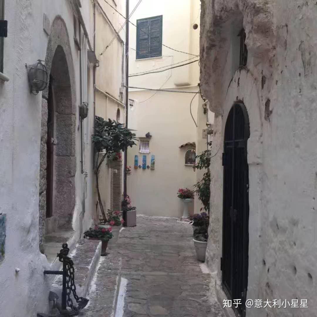 博洛尼亚音乐学院和佛罗伦萨音乐学院声乐系哪