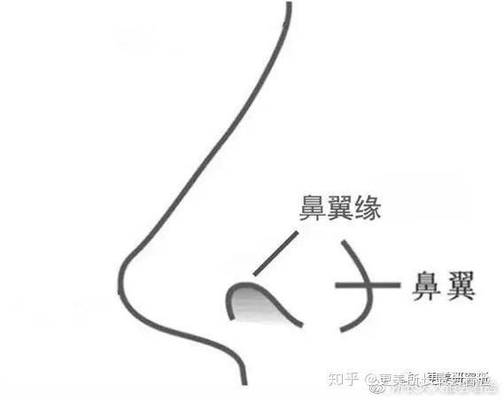 v2-8f98f5113d5083e77ee9af637bfd58e8_r.jpg