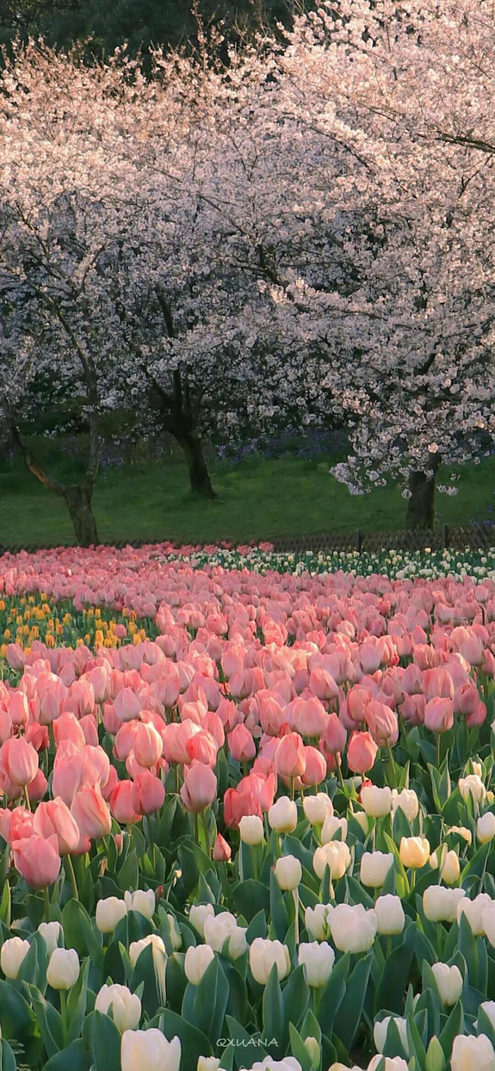 有没有什么可以拿来当壁纸的唯美风景图? - 知乎