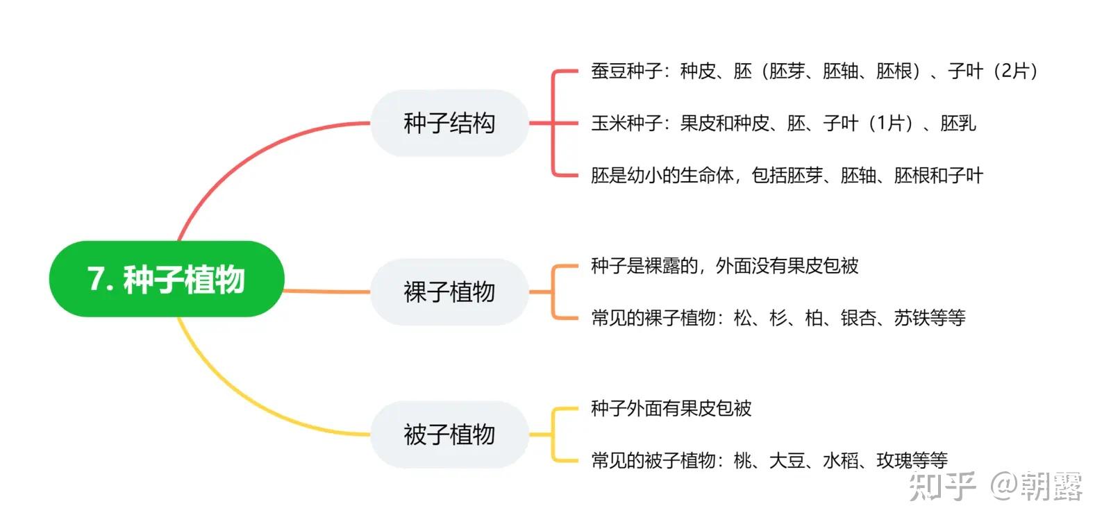 种子分类思维导图图片