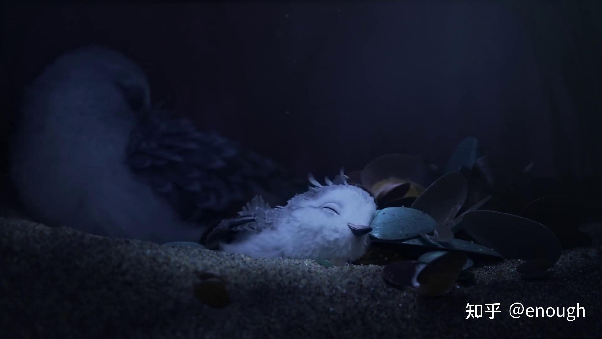 奥斯卡最佳动画短片《鹬》（Piper）:不仅对孩子们而且对我们成年人来说都是一堂美妙的课 - 知乎
