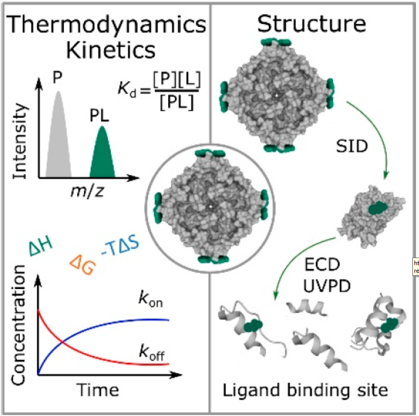 非变性质谱中的蛋白质 小分子相互作用 0 知乎