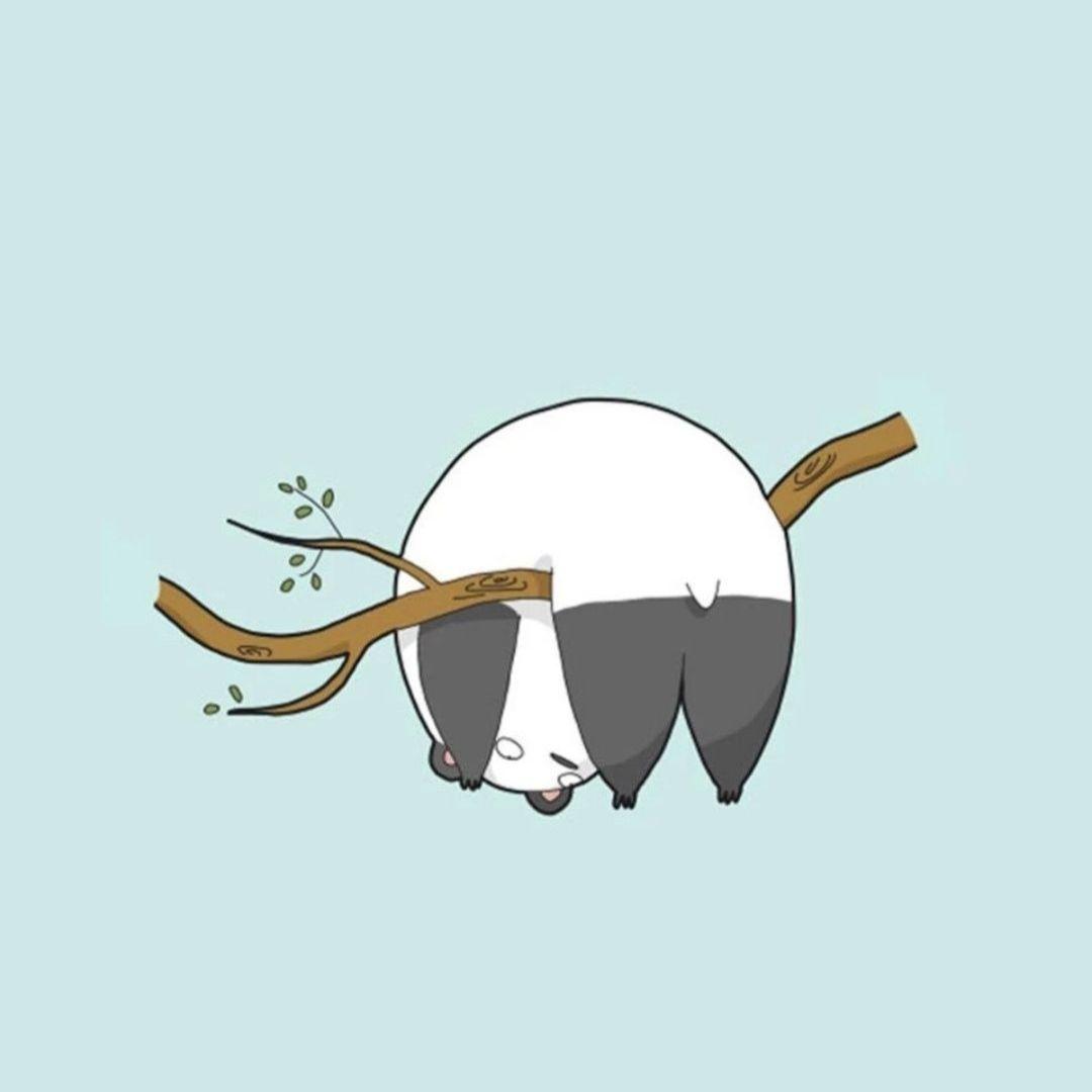 有哪些简约干净的头像