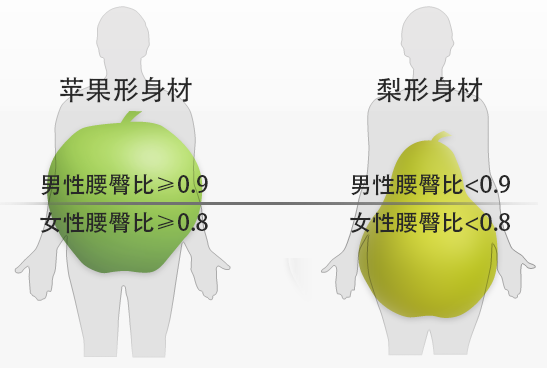 腹型肥胖腰臀比图片