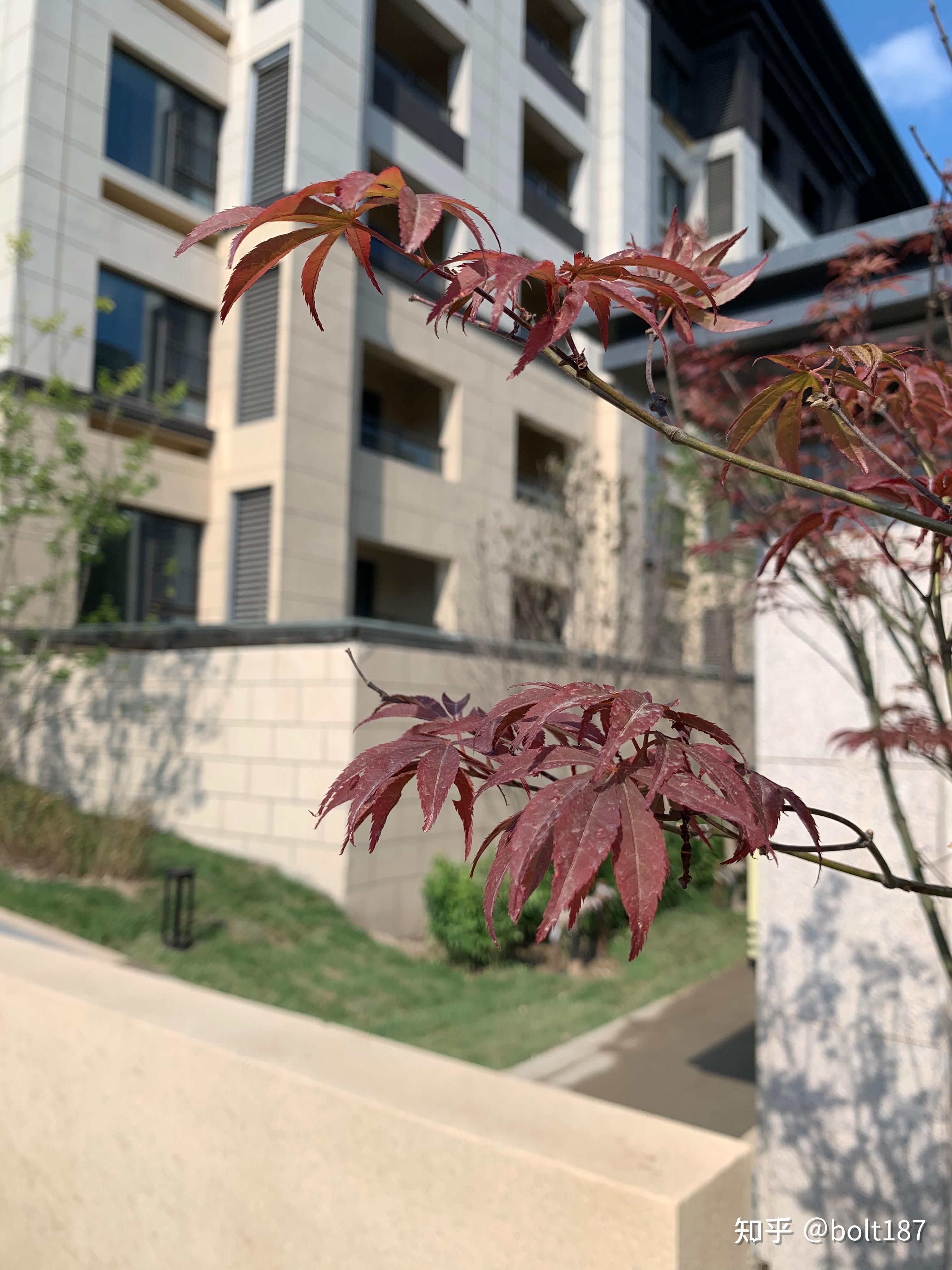 房东直租 - 孙河瑞悦府下跃 - 月租23000