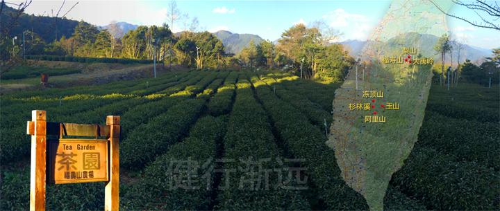 台湾高山茶的品鉴- 知乎