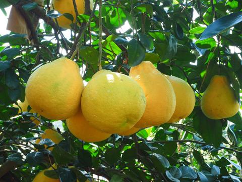 这里空气清新,气候宜人,环境舒适,风景秀丽,真是个人杰地灵的好地方.