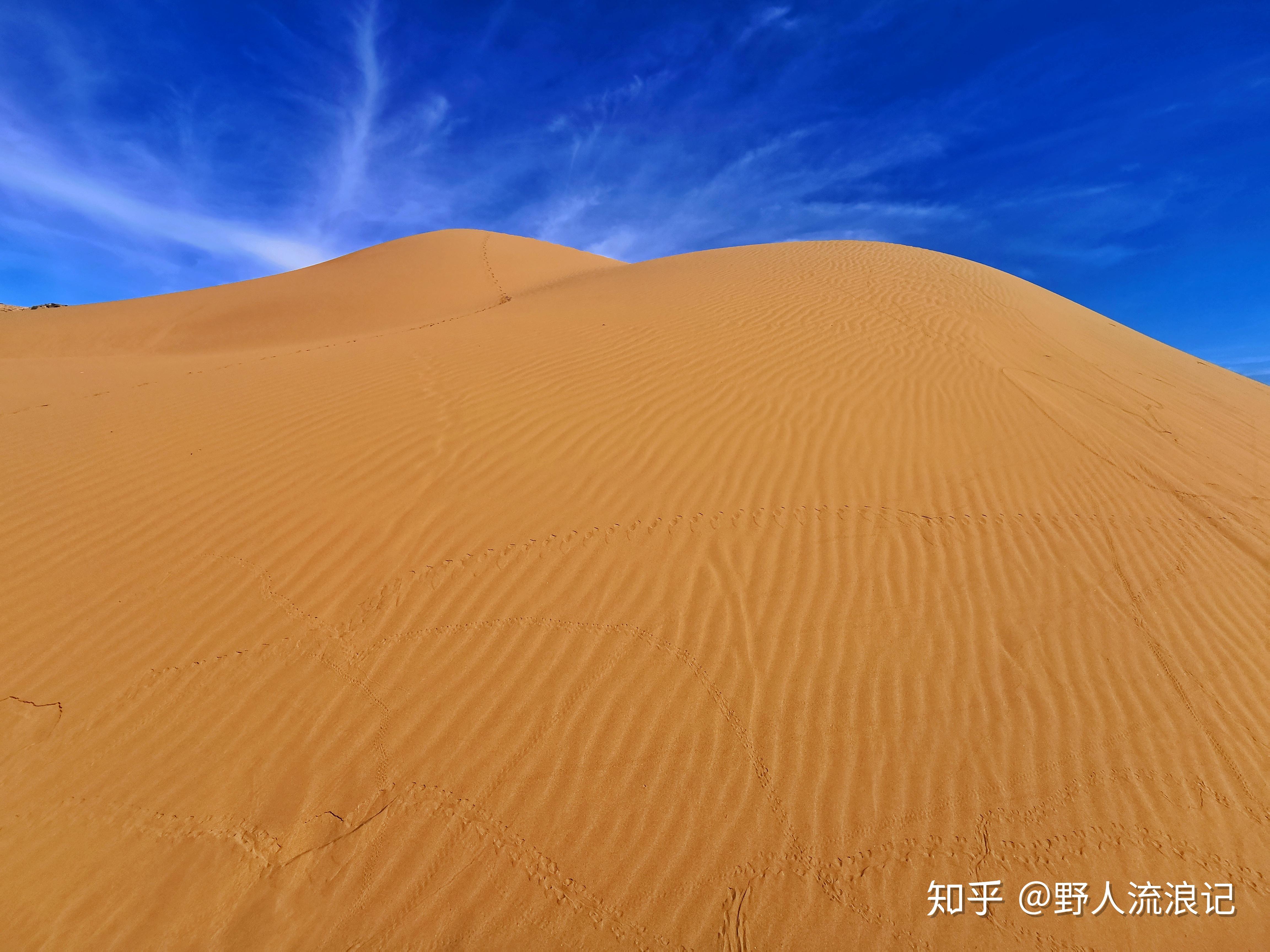 带你追寻三毛式的浪漫——撒哈拉沙漠 - 哔哩哔哩