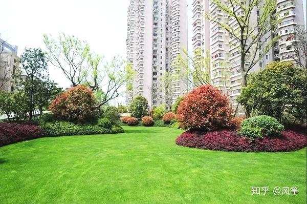 居住区植物配置标准化