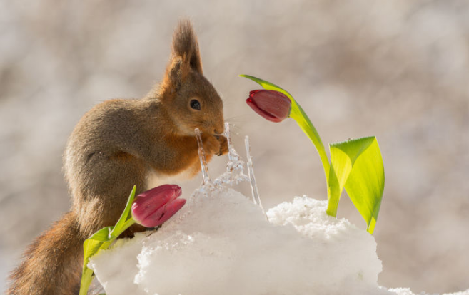 5个点彻底搞清楚SpringBoot注解 5个点彻底搞清楚SpringBoot注解