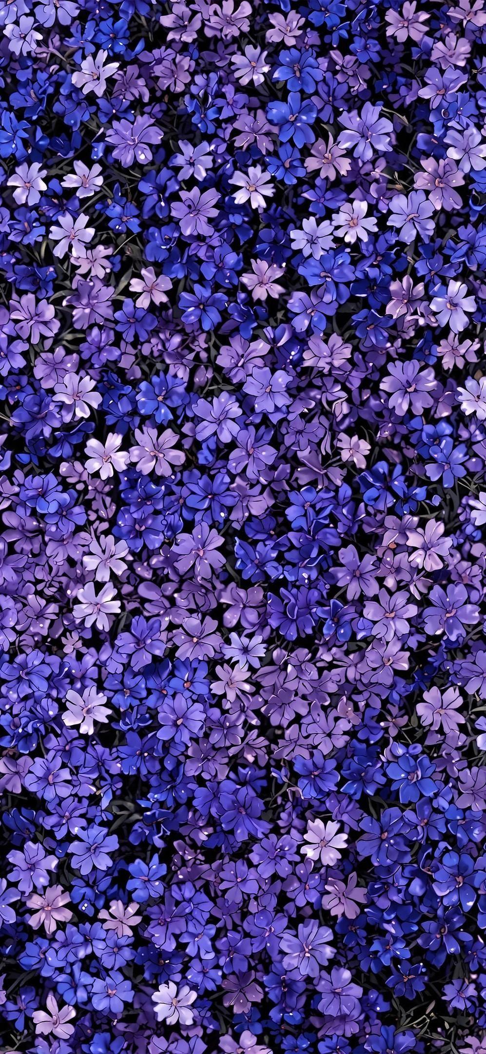 手机屏幕开满花：私藏高级感花卉壁纸合集 - 知乎