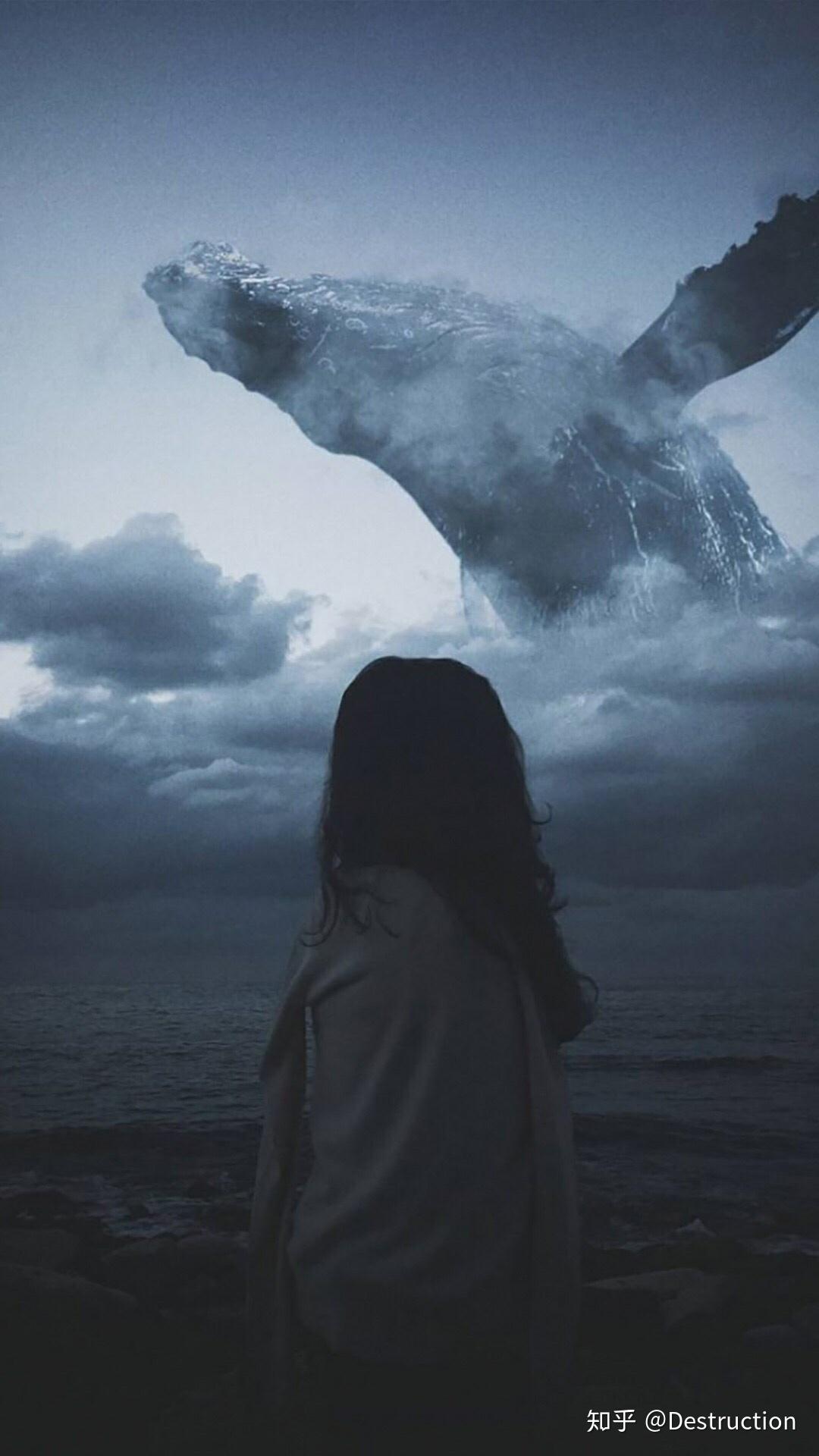 哪里可以找到可以用来当壁纸的鲸鱼蓝鲸图片呢