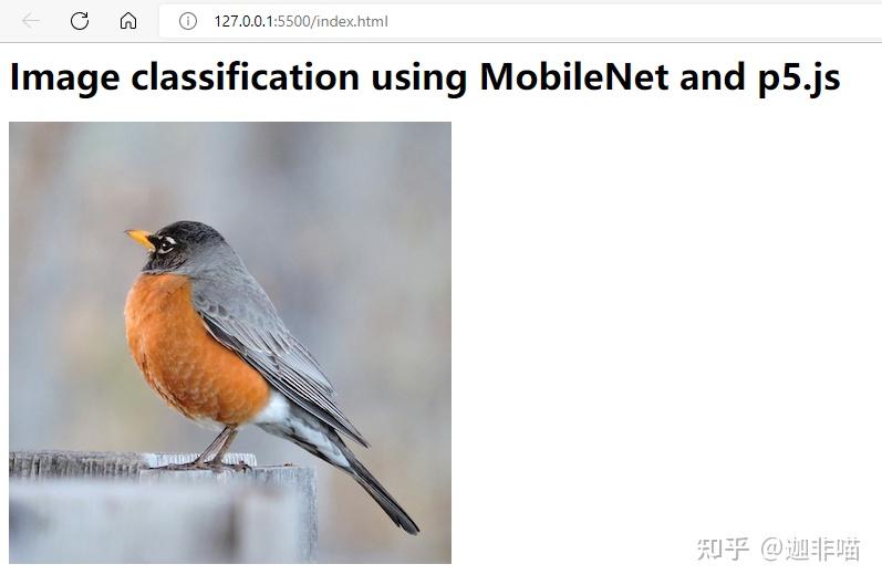 ml5-js-vscode-image-classification