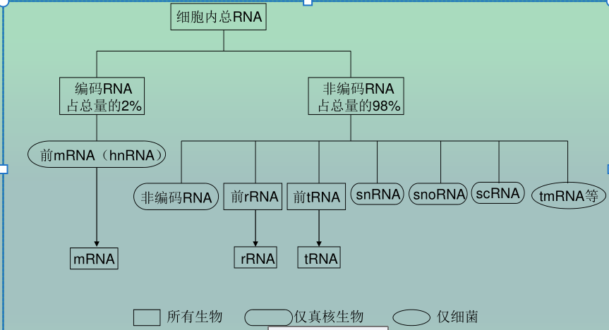 遗传信息的转录与mRNA - 知乎