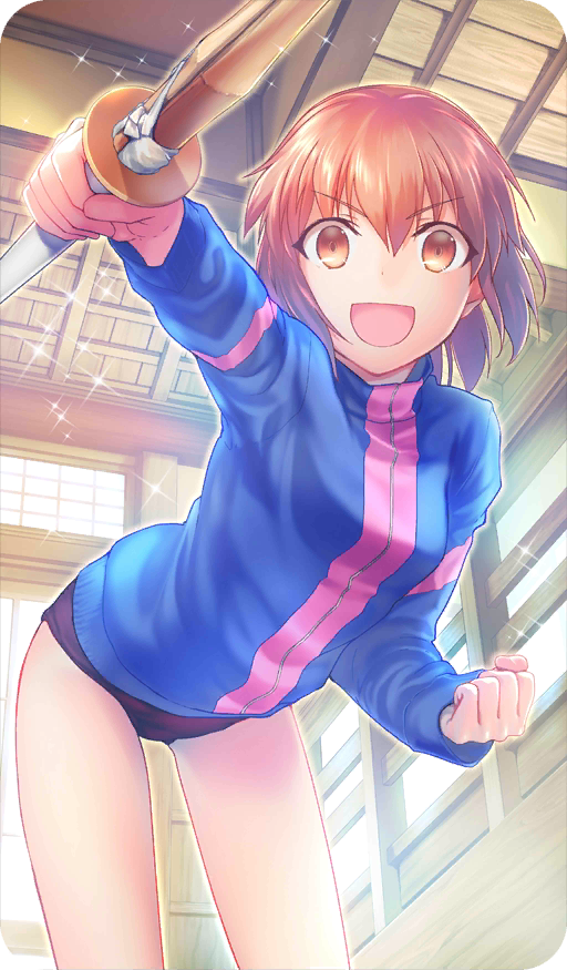 fate里的藤村大河究竟是个什么样的人?老虎圣杯又是什么?