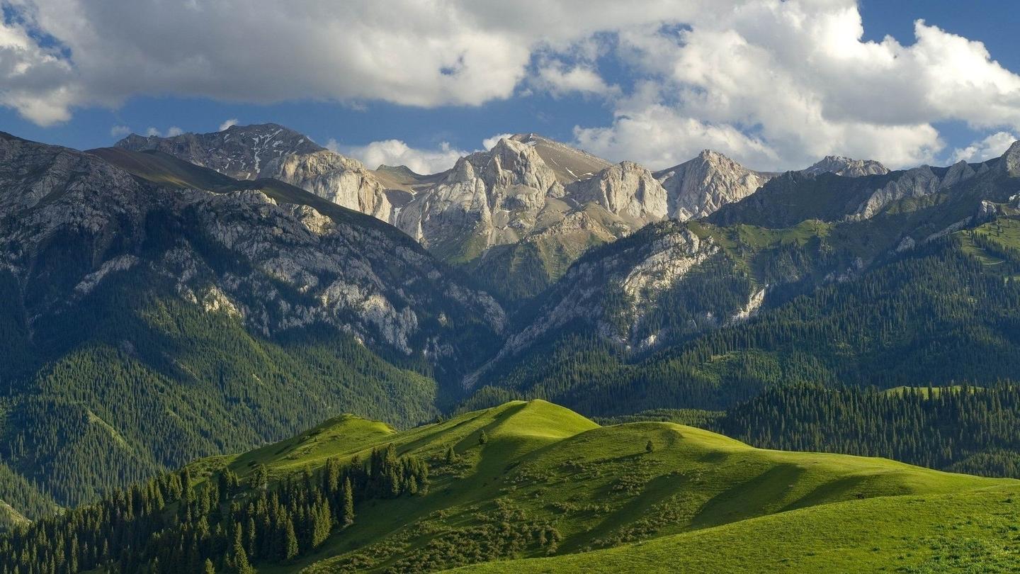 活在山中的我 - 知乎