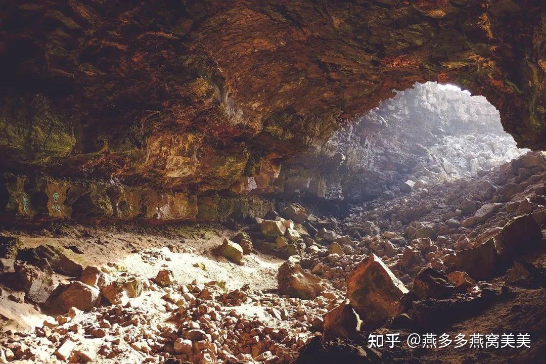 燕窝小常识：血燕是什么？血燕是燕子吐血而成的？ - 知乎