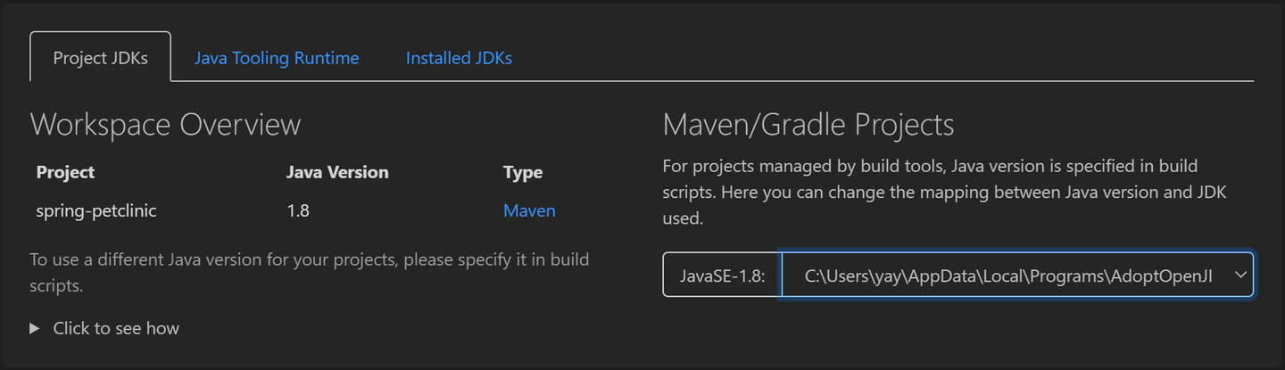 VS Code Java 11 月更新，来啦！ - 知乎
