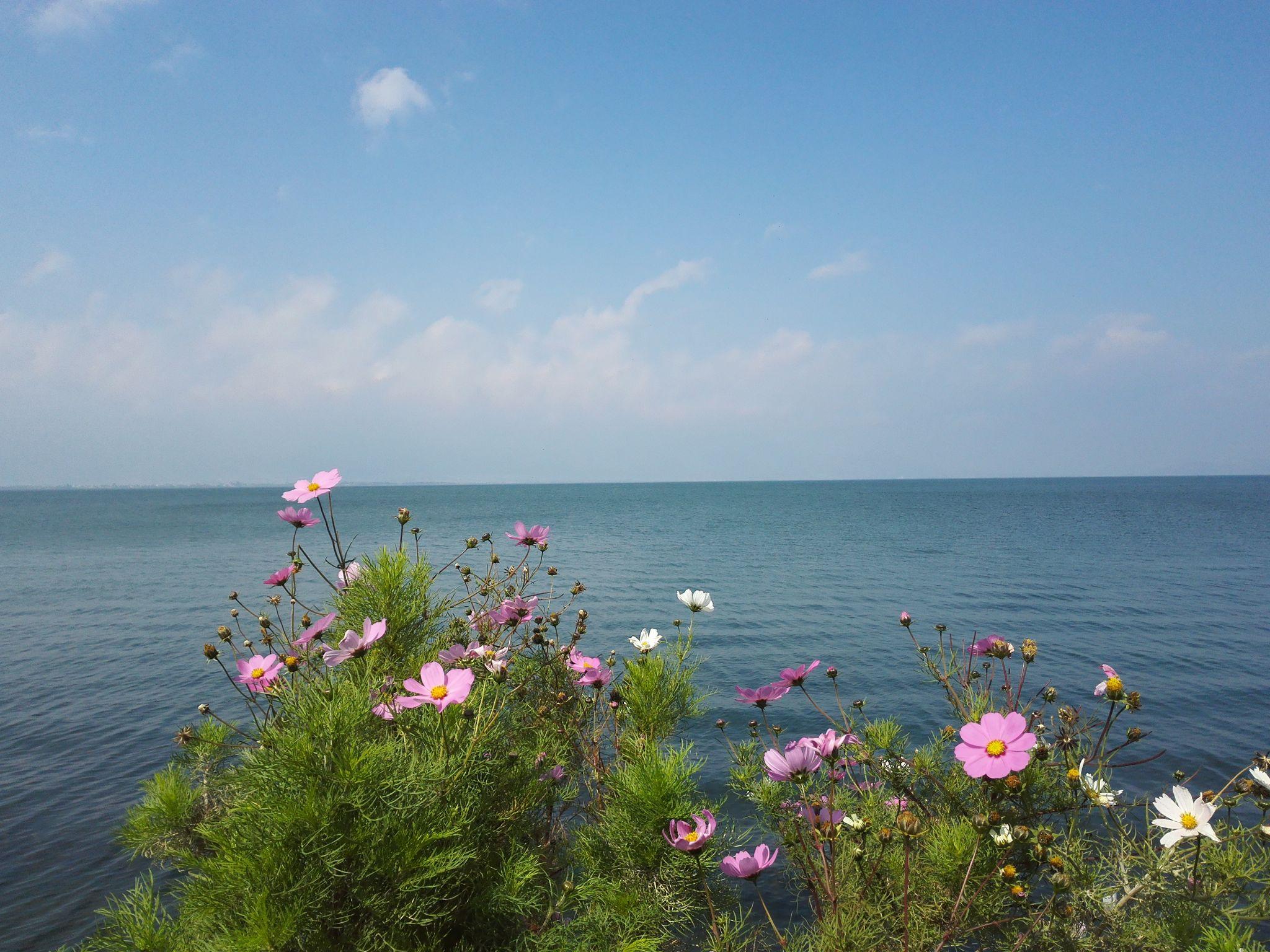 国内自然风景最美的地方是哪里