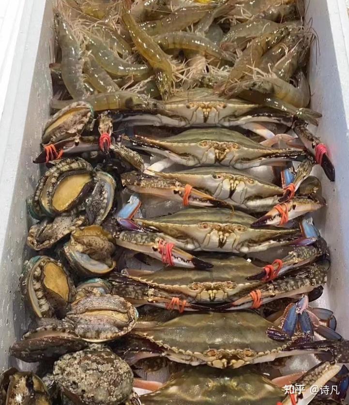 为什么我强烈建议你不要去海鲜市场买海鲜? - 知乎